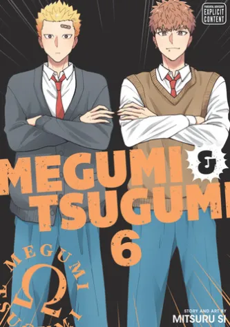 Megumi & Tsugumi, Vol. 6 (Yaoi Manga)