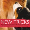 New Tricks