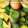 Nutribullet Natural 600 Recipes
