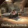 Oorlogsgeheimen