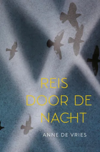 Reis door de nacht