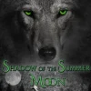 Shadow of the Summer Moon
