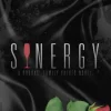 Sinergy