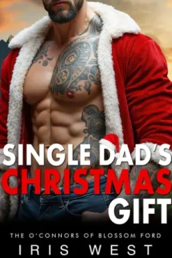 Single Dad's Christmas Gift (Nederlands)