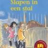 Slapen in een stal