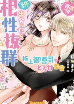 “遅漏の彼”と“名器の彼女”が出会ったら相性抜群でした!?～極上御曹司ととろ甘蜜愛～【SS付】