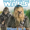 Star Wars What is a Wookiee?