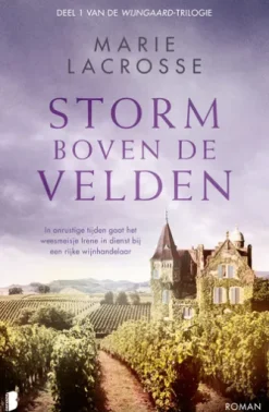 Storm boven de velden