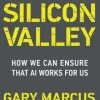 Taming Silicon Valley