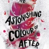 The Astonishing Colour of After