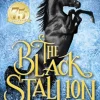 The Black Stallion