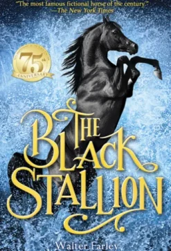 The Black Stallion
