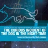 The Curious Incident of the Dog in the Night-Time