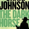 The Dark Horse