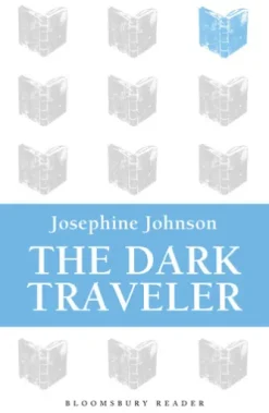 The Dark Traveler