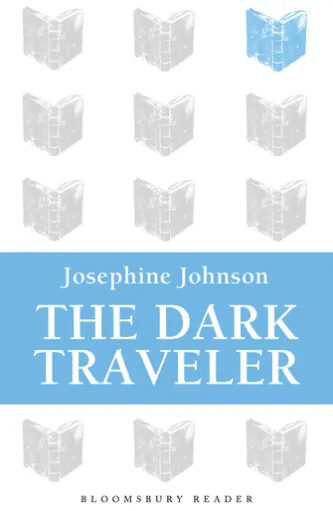 The Dark Traveler