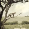 The Flame Trees Of Thika