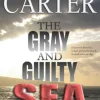 The Gray and Guilty Sea