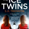 The Ice Twins