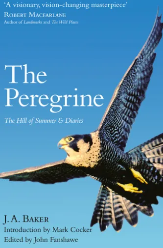 The Peregrine