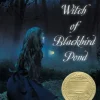 The Witch of Blackbird Pond