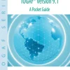 TOGAF® Version 9.1 - A Pocket Guide
