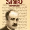 Türk Sosyolojisinin 100. Yılında Ziya Gökalp