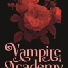 Vampire Academy (book 1)