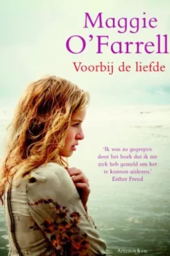 Voorbij de liefde