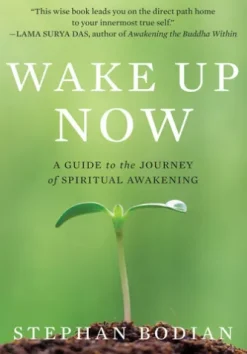 Wake Up Now