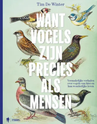 Want vogels zijn precies als mensen