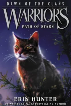 Warriors: Dawn of the Clans #6: Path of Stars