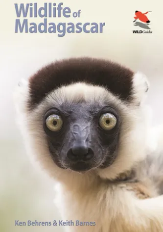 Wildlife of Madagascar
