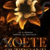 Zoete overgave